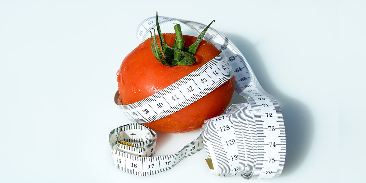 diet app development