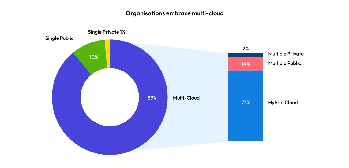 Multi-cloud strategy Flexera 2024