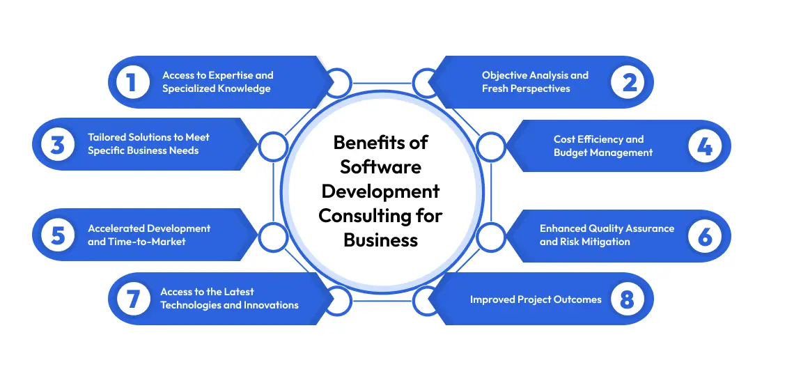 Benefits of Software Development Consulting for Business
