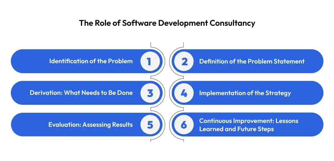The Role of Software Development Consultancy