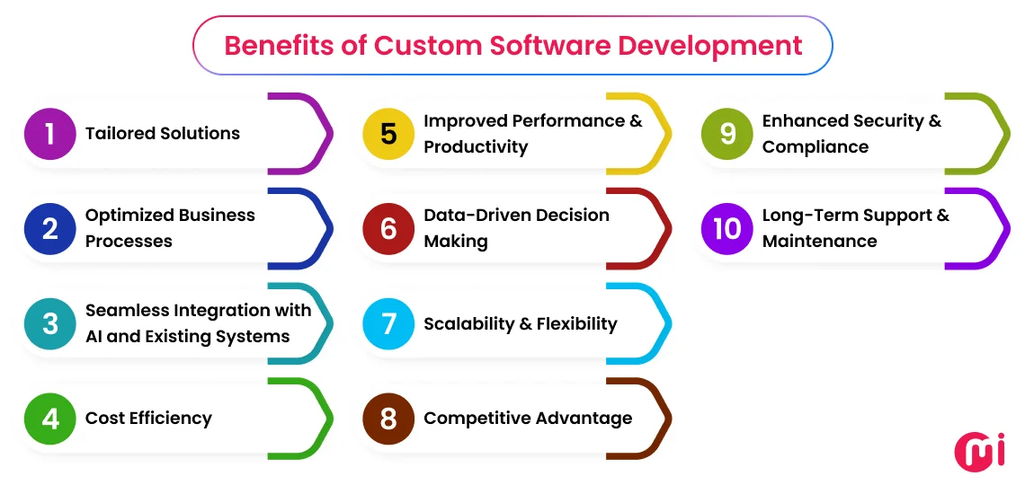 benefits of custom software development